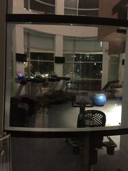 Eight Riversuites (D12), Condominium #484676031